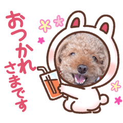 kichi_20220125155753
