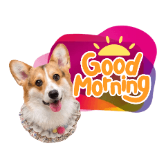 Hyejin the corgi_20220124205153