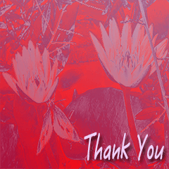 Lotus Flower__Thank You_Big Stickers