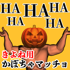 Kiyone Pumpkin macho