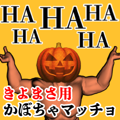 Kiyomasa Pumpkin macho