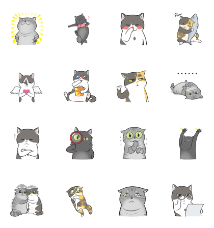 5 cats.