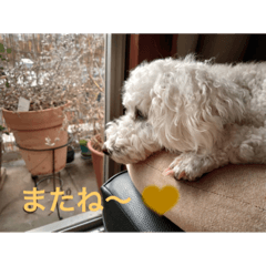 ayumi_20220125195740