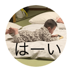 yayoi_20220125211647