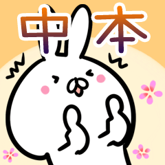 Nakamoto usagi namae Sticker