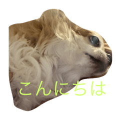 YUTOU LINE