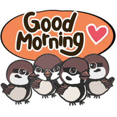 Greetings and replies from the sparrows