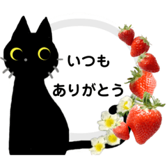 Black cat and strawberry