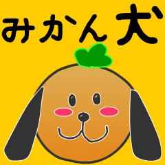 mandarinorange dog