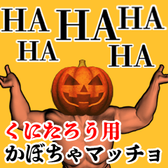 Kunitarou Pumpkin macho