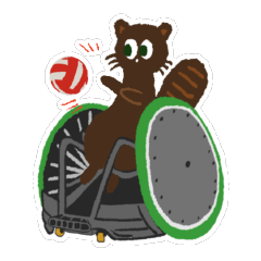 Cat playing wheelchair rugby