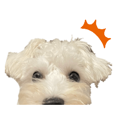 ayumi_20220125204534