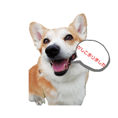 natsukin_20220125204418