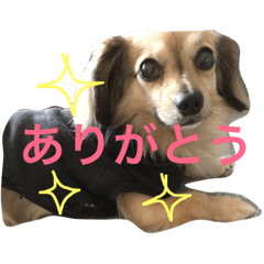 Yukichi  Stamp
