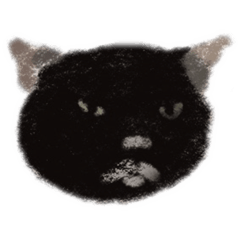 A misanthrope black cat
