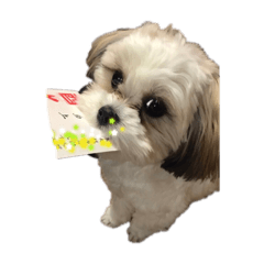 yukari_20220126145018