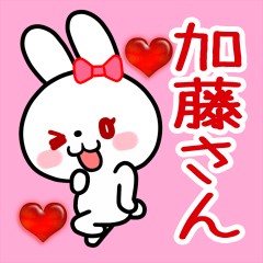 The white rabbit loves Katou-san
