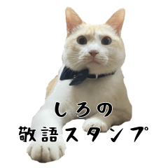 Honorifics of white cat