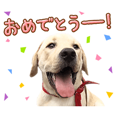 POCHITAMA -Masaharu special stickers-