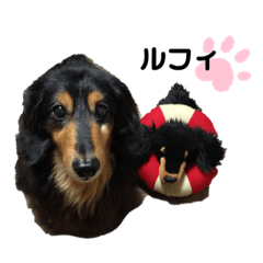 Ayumi_20220126153016