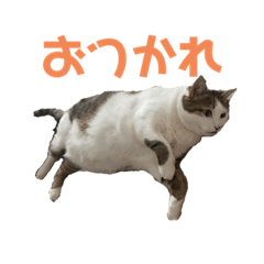 Tomomi_20220126101650