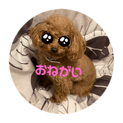 Rina_20220126195342