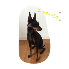 MICHIKO_20220126230716