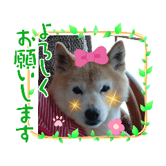 hana_20220126165845