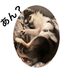 mizuki_20220127100621