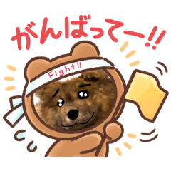 animals ,dog and bird