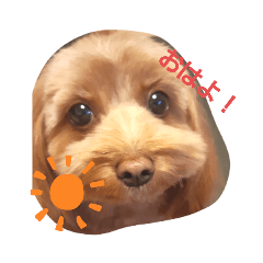 Tomomi_20220126210533