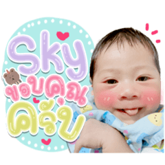 Sky Sky V1