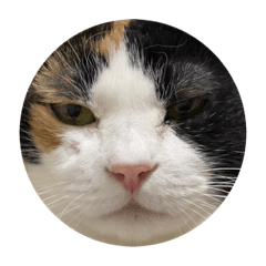 michiko_20220126203038