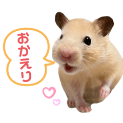 Miki_20220126225828