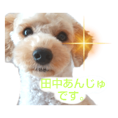 Miko_20220126234802