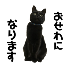 ohagisan_20220126234001