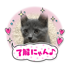 potupotu_20220126210212