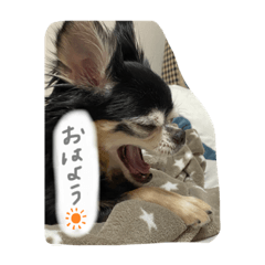 saya_20220127023430