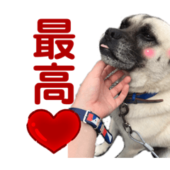 Ayumi_20220127121506