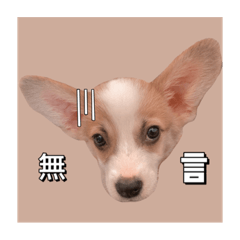 Lin Lin_20220126195354