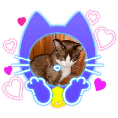 OMG_20220127013823