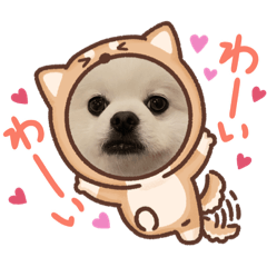 rina_20220127154557
