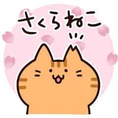 Cute cat reply sticker