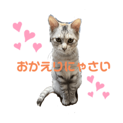 ayumi_20220127165559