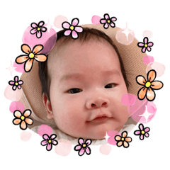 禔妹與貓の日常