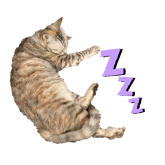 ayumi_20220127173620