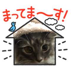 RISA_20220127195700