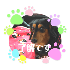 saya_20220127233739