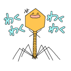 Enterobacteria phage T2