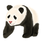 panda_osuzu